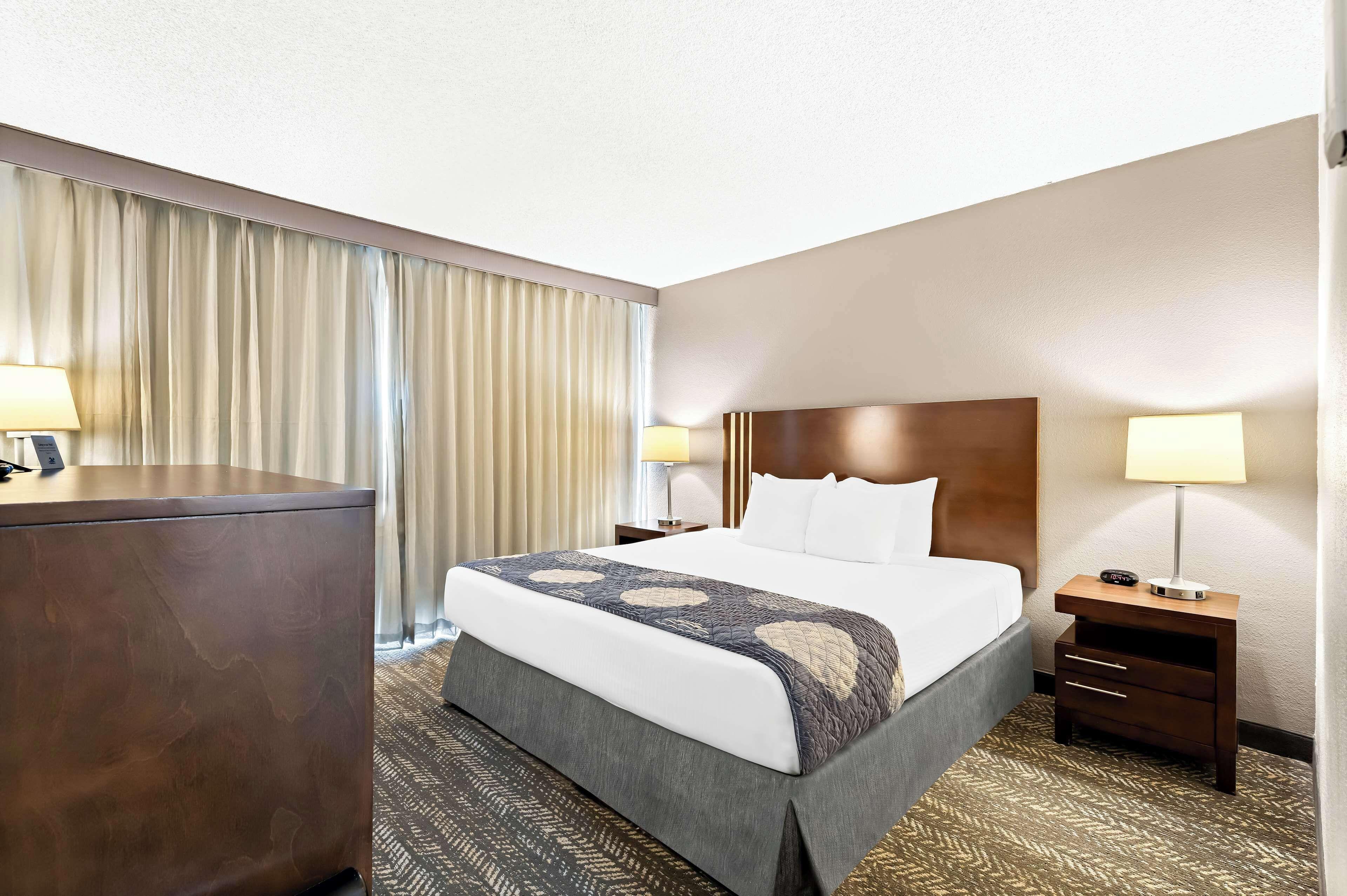 Chambre Lit King-Size Standard